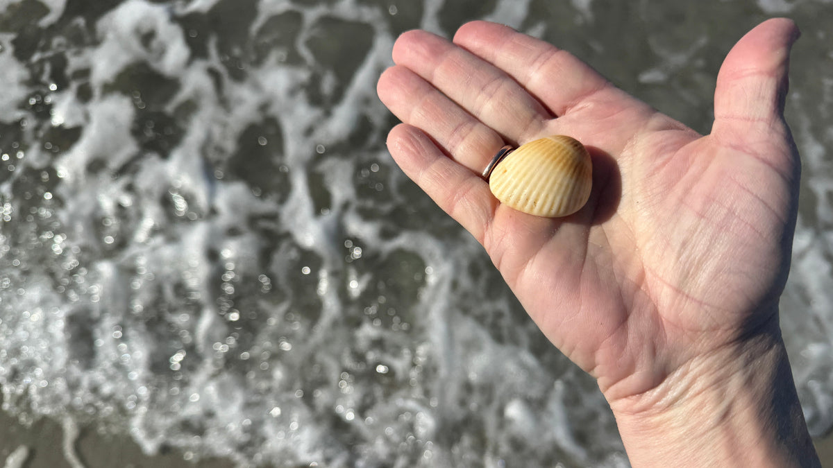 Hand holding a shell with ocean waves in the background